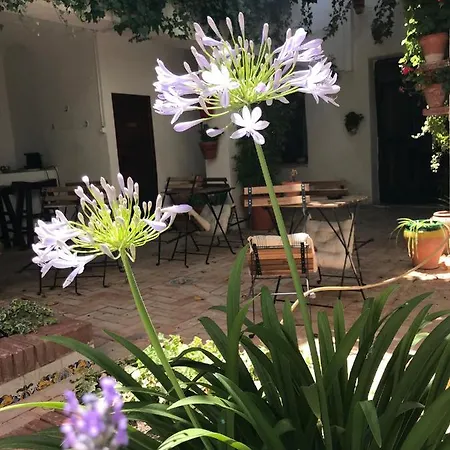La Casa De Felix